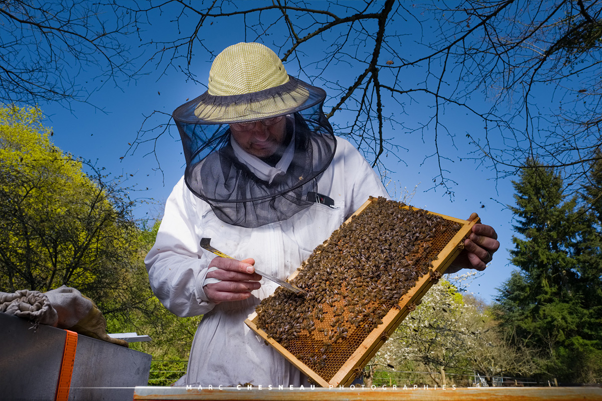 Apiculteur et ses ruches | Marc Chesneau Photographe
