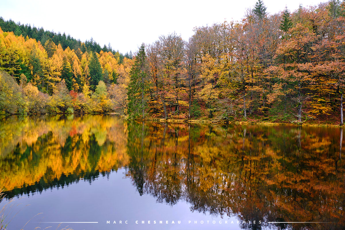 Reflets d'automne dans le Parc du Morvan | Marc Chesneau Photographe