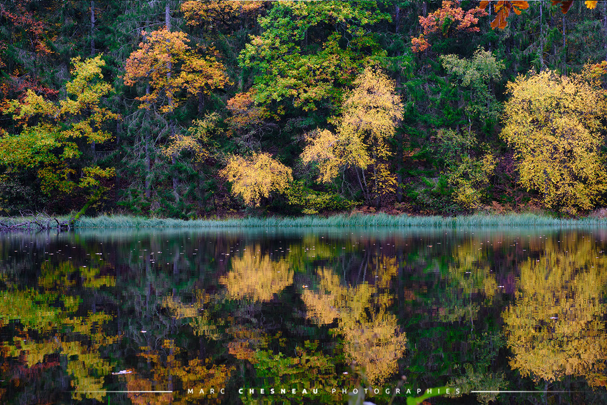 Reflets d'automne dans le Parc du Morvan | Marc Chesneau Photographe