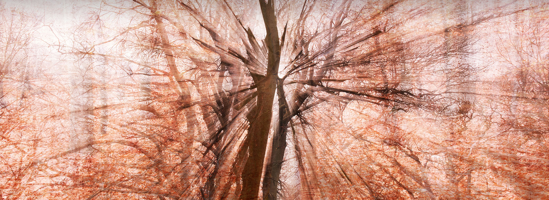 Banner Graphisme Fin Automne Tirage Rc