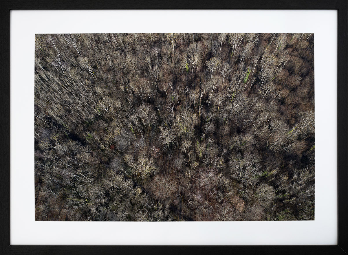 Tirage Photo Cadre Noir 50x70cm Forêt en tenue d'hiver