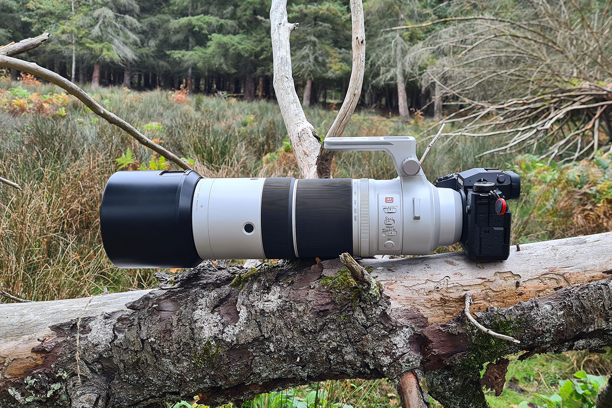 Test 150 600mm Nature Brame Cerf