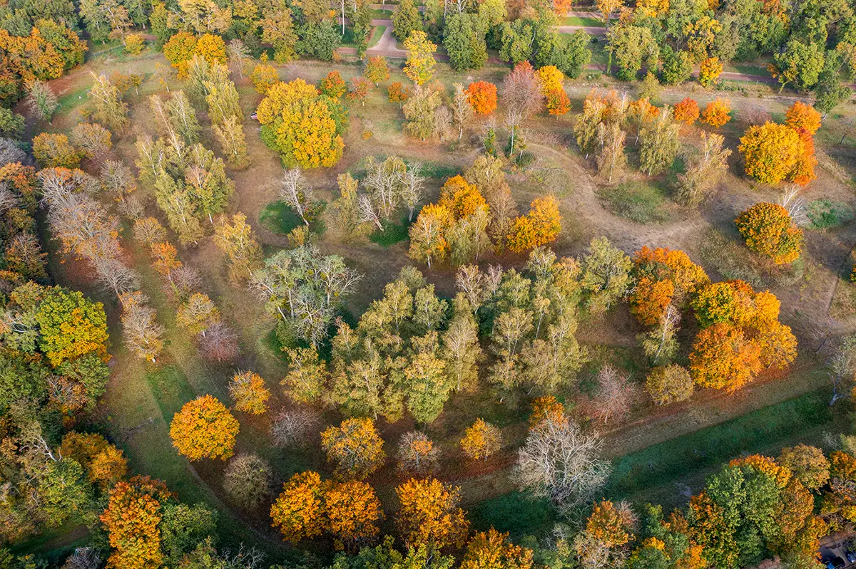 parc de maisons laffitte automne Marc Chesneau
