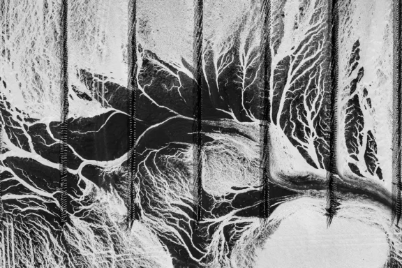 Composition graphique d&rsquo;algues en Bretagne