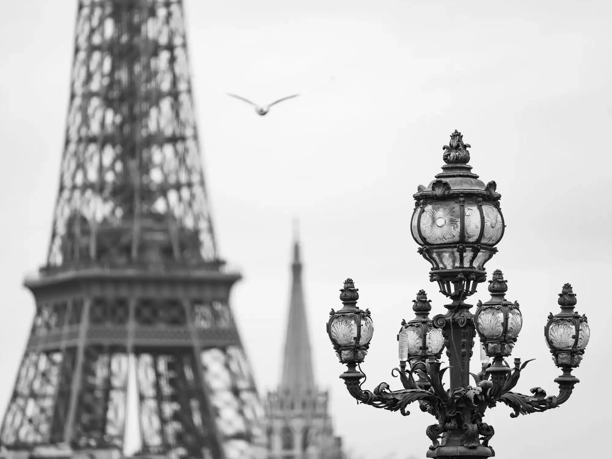 L&rsquo;Envol sur la Seine