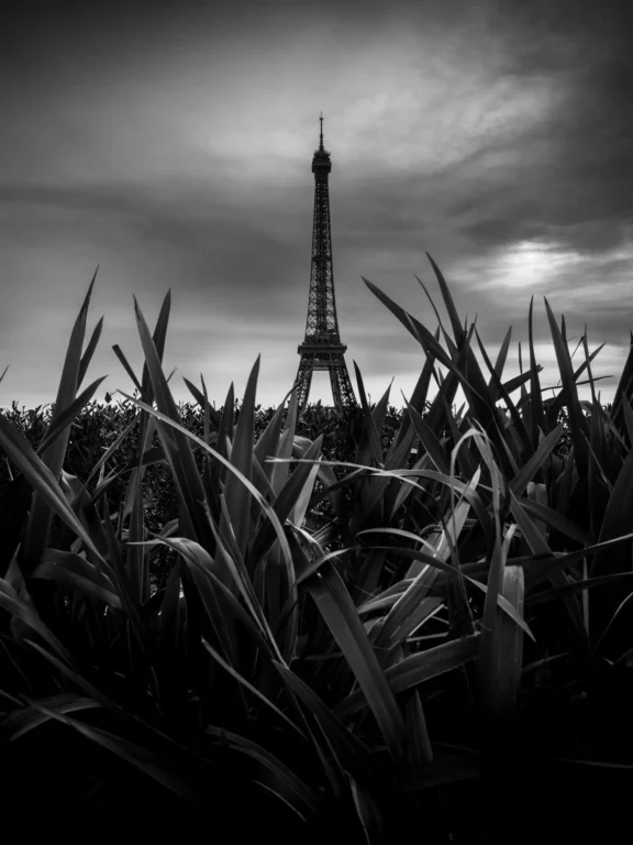 La Tour Eiffel dans un écrin de verdure