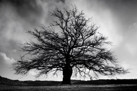 L&rsquo;Ancêtre du Morvan