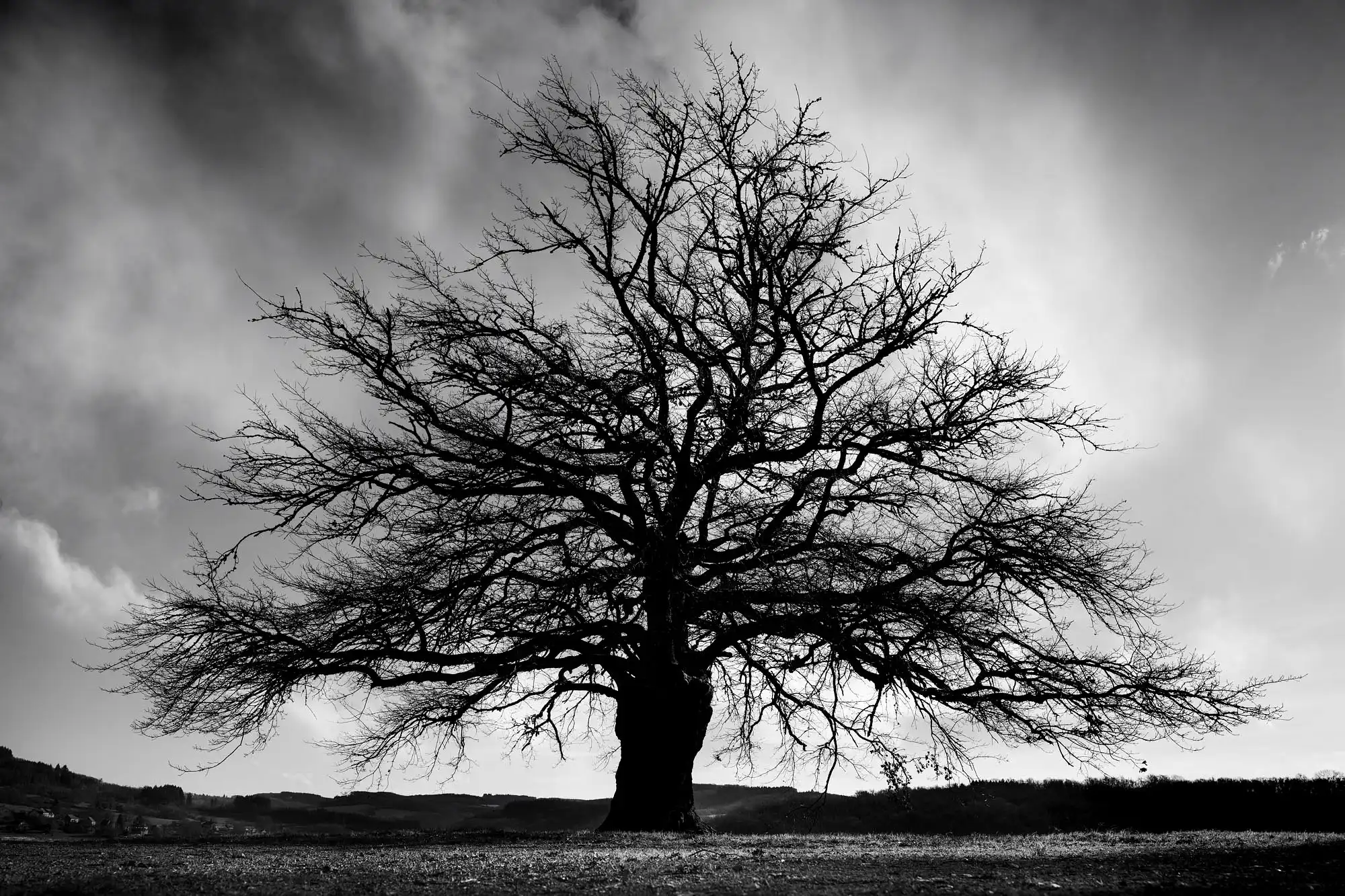 L&rsquo;Ancêtre du Morvan