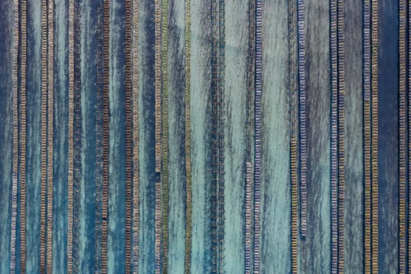 Linéaires ostréicoles