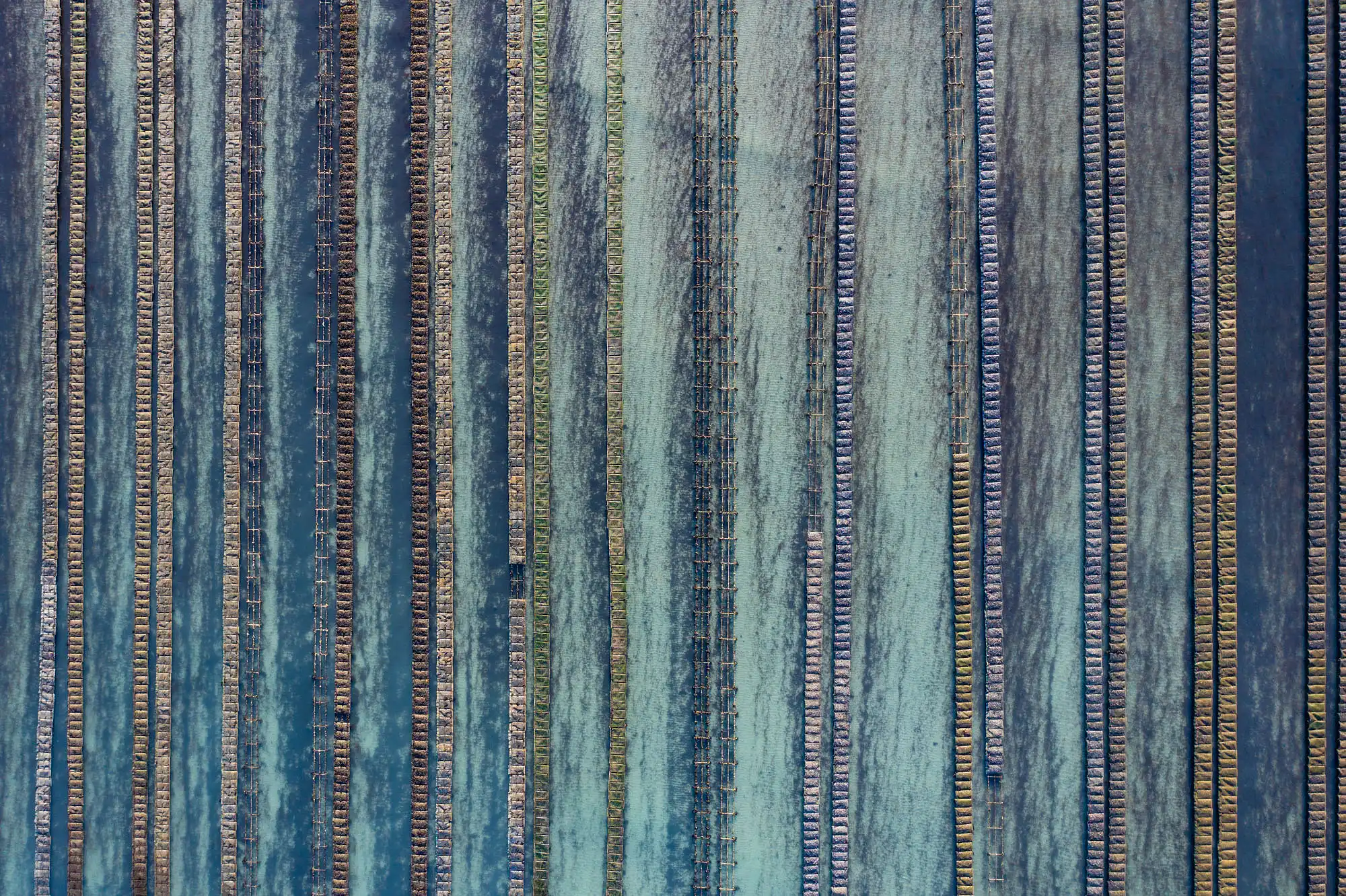 Linéaires ostréicoles