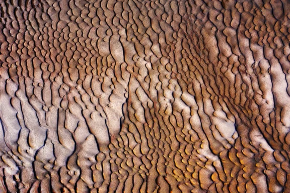 Peau de sable en Baie de Somme