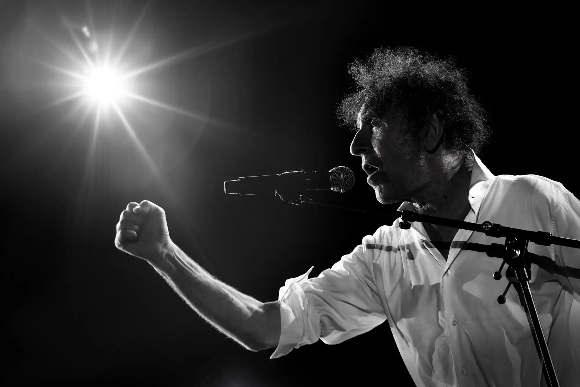 Alain Souchon en concert