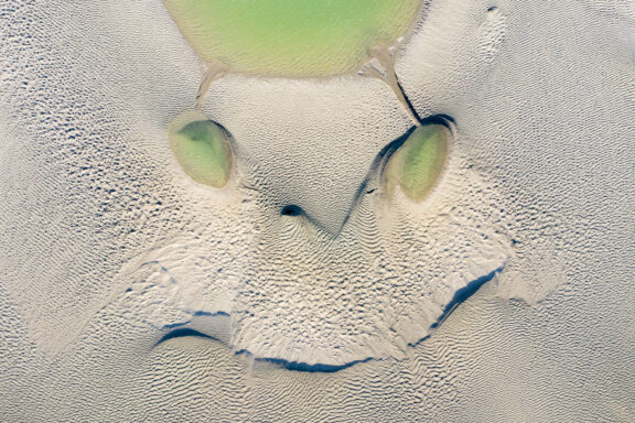 Le hibou de la baie de Somme