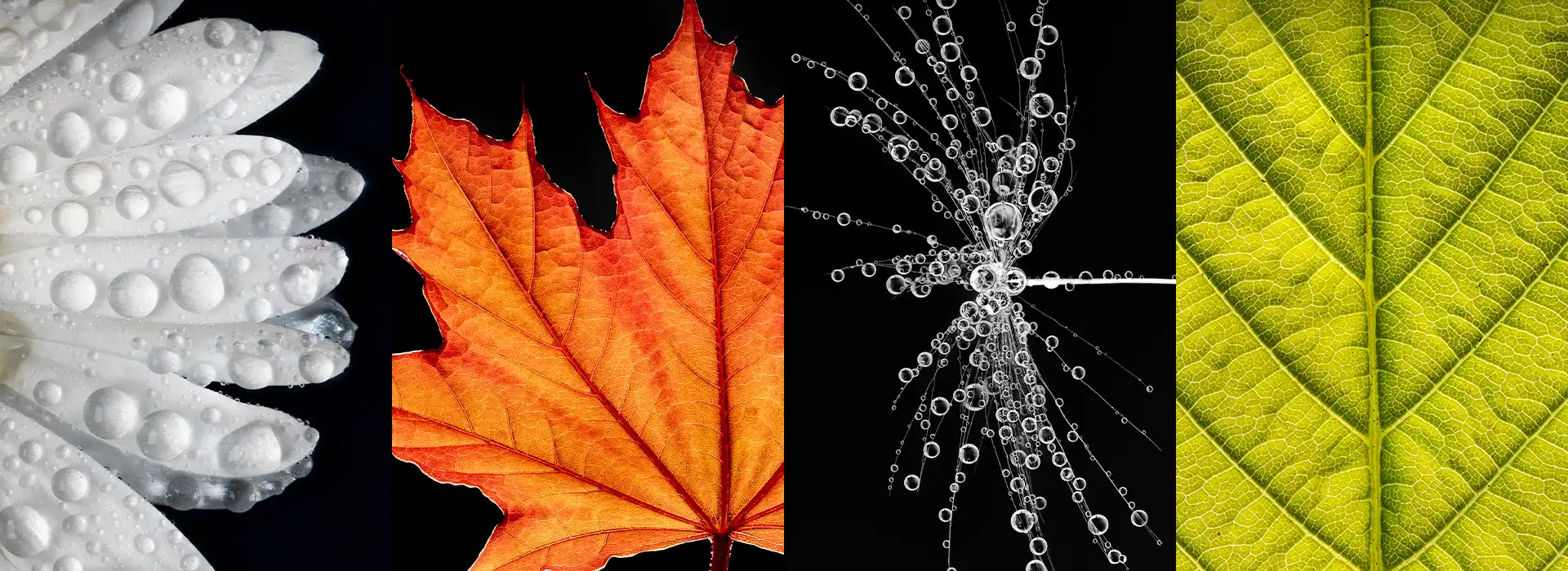 banner formation macro