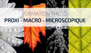 photo formation macro proxi microscopie 2